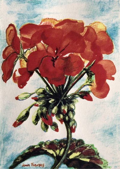 Geranium by Joan Thewsey